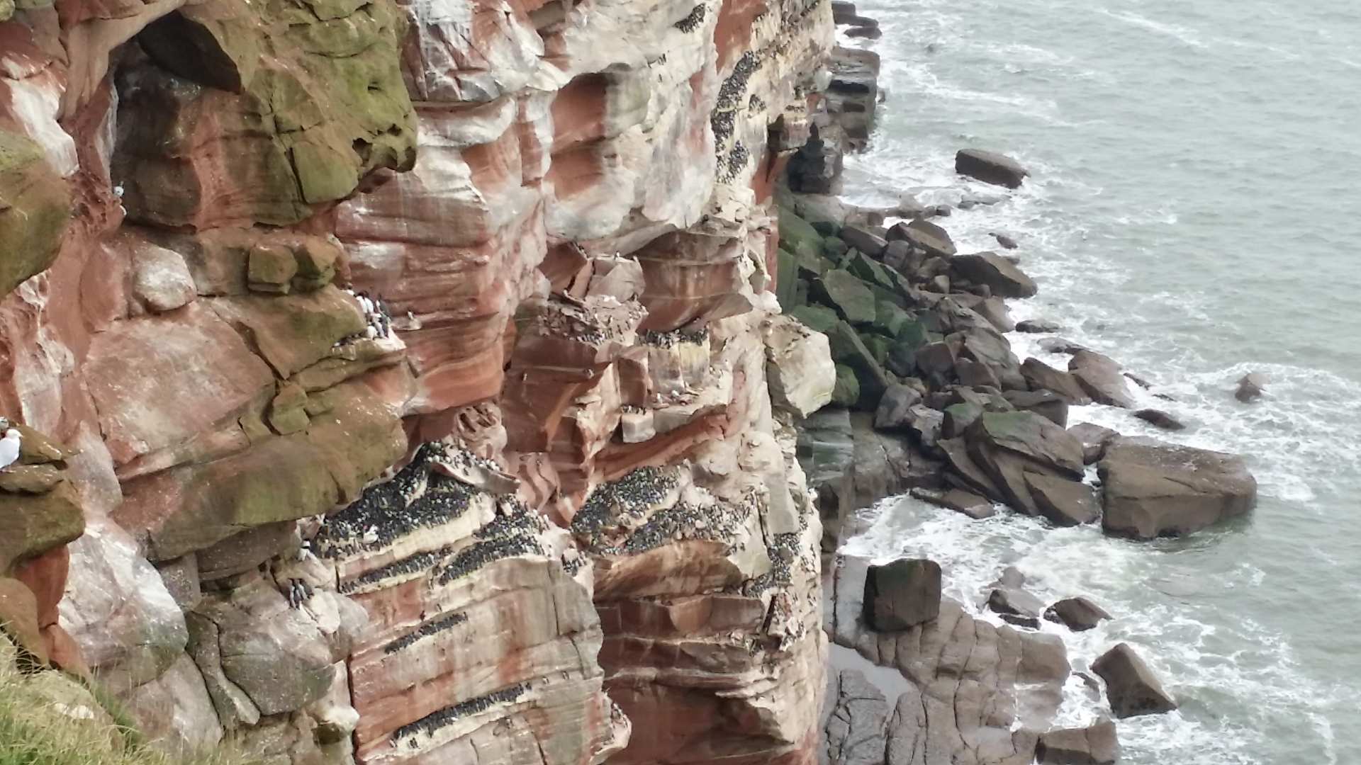 The weatherworn red cliffs at St Bees, Cumbria